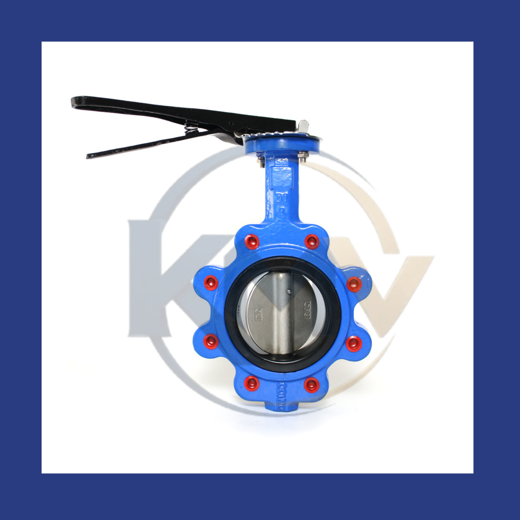 Lug Type Butterfly Valve